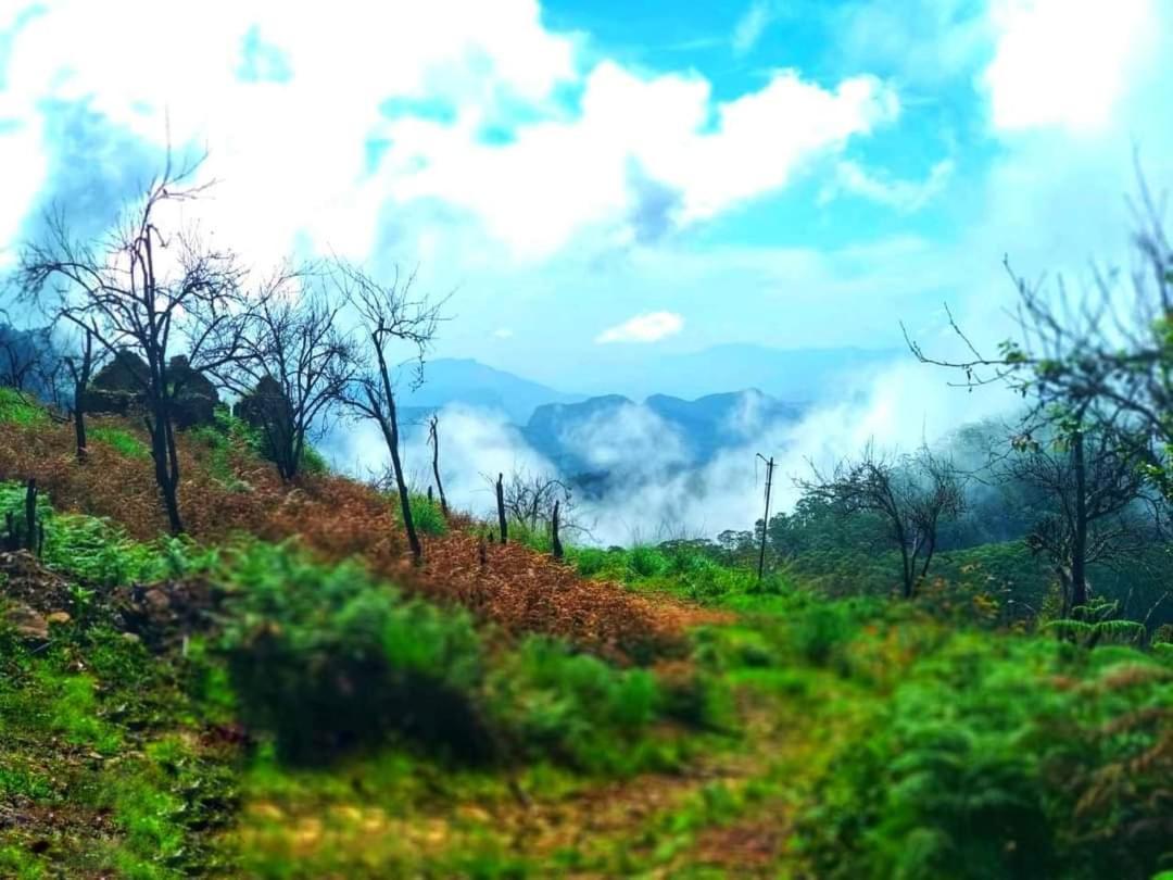 The Place ...The Experience Tamilnadu - Tamilnadu - Kodaikanal Exterior foto
